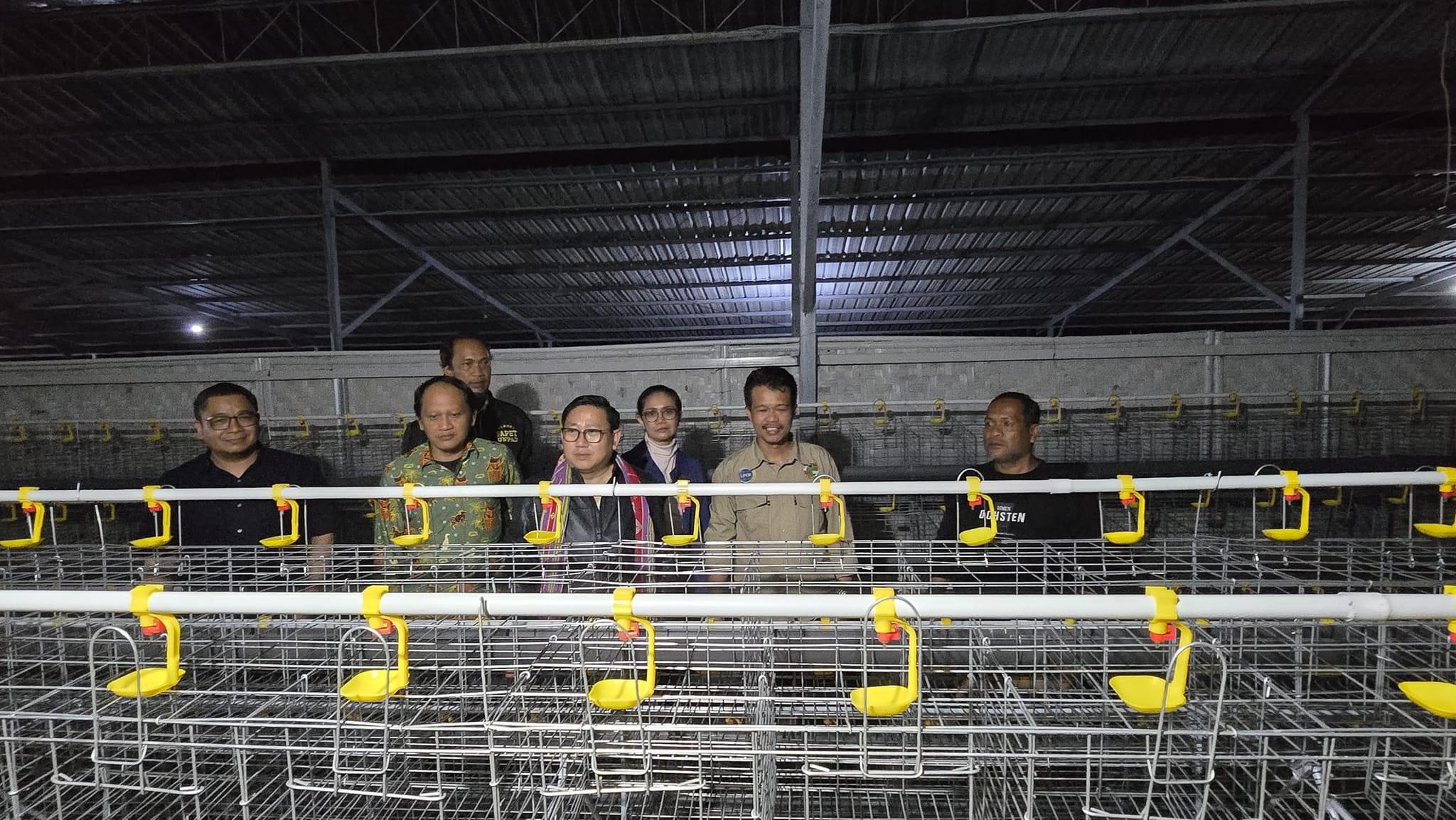 Pengembangan Peternakan Ayam Ras Petelur Skala Mikro Kecil: Langkah Nyata Menuju Ketahanan Pangan dan Pemberdayaan Ekonomi Rakyat