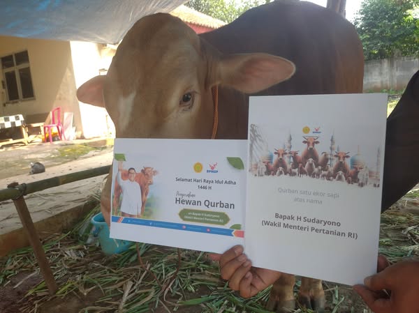 Wamentan Salurkan Hewan Kurban ke Ponpes Al Ihsan: Santri Juga Perlu Akses Pangan Bergizi