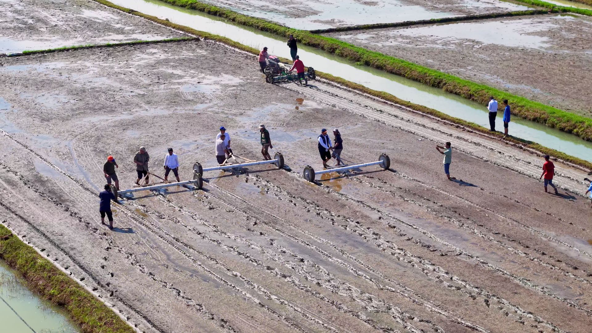 Tanam Padi Perdana PM-AAS di Maros, Dorong Produktivitas dan Modernisasi Pertanian