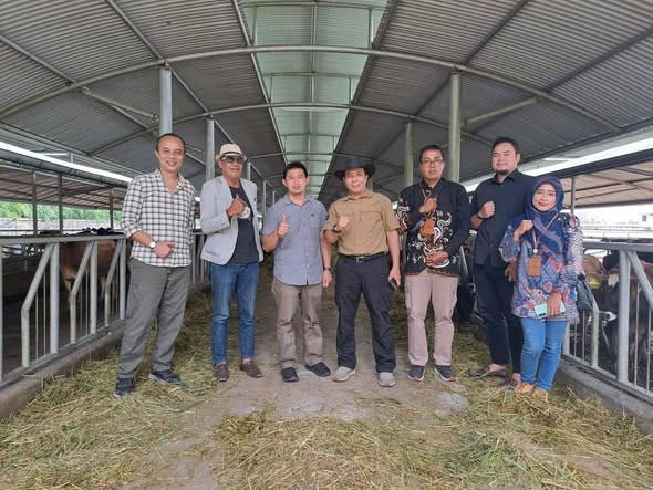 Investasi Sapi Terus Diperkuat, Peternak Dapat Peluang Usaha dan Kepastian Pasar