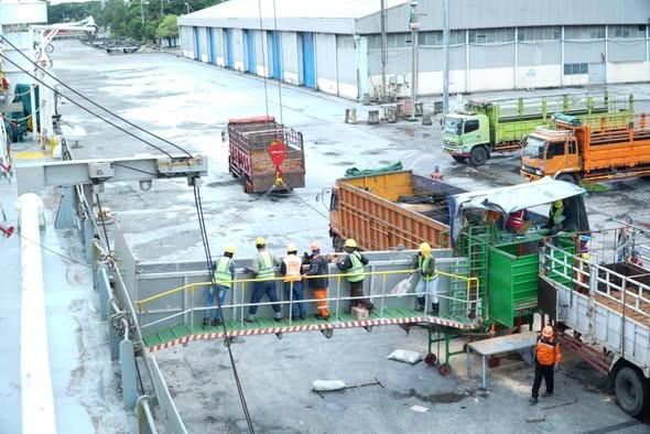Kementan Tetapkan Target Investasi Sapi 2026 untuk Dukung Program MBG