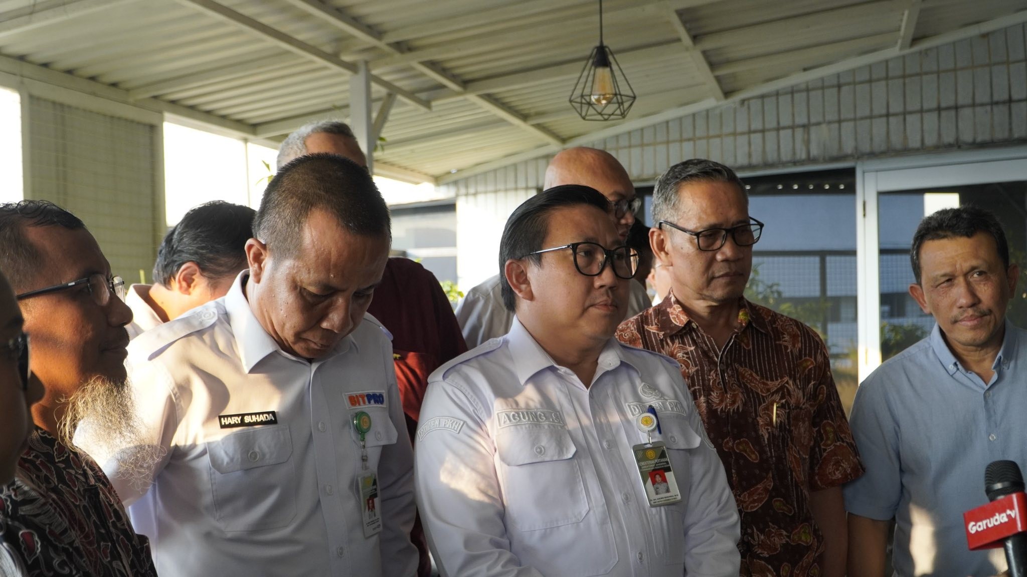 Kementan Sigap Jaga Stabilitas Harga Ayam Hidup, Asosiasi Peternak Siap Kawal di Lapangan
