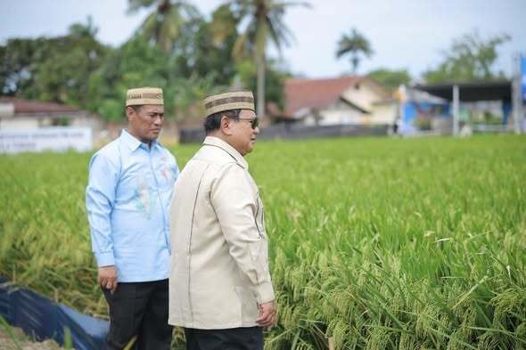 Di Hadapan 100 Ribu Petani dan Nelayan di PENAS XVII, Presiden Prabowo Tegaskan Komitmen Swasembada Pangan Berkelanjutan