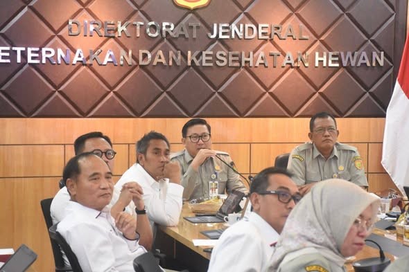 Kementan Perkuat Koordinasi Lintas K/L dan BUMN untuk Stabilkan Harga Ayam dan Telur Peternak