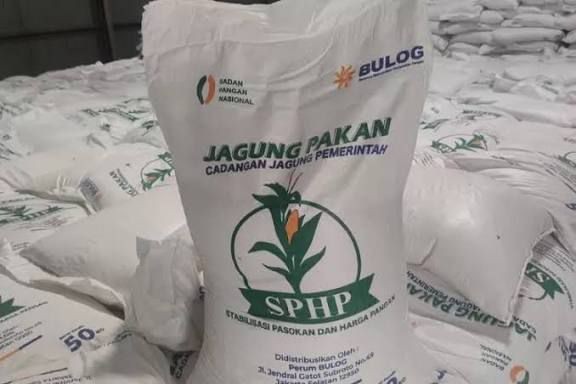 Mentan Amran Pastikan Jagung SPHP Berlanjut, Harga Pakan dan Telur Dijaga demi Peternak Rakyat
